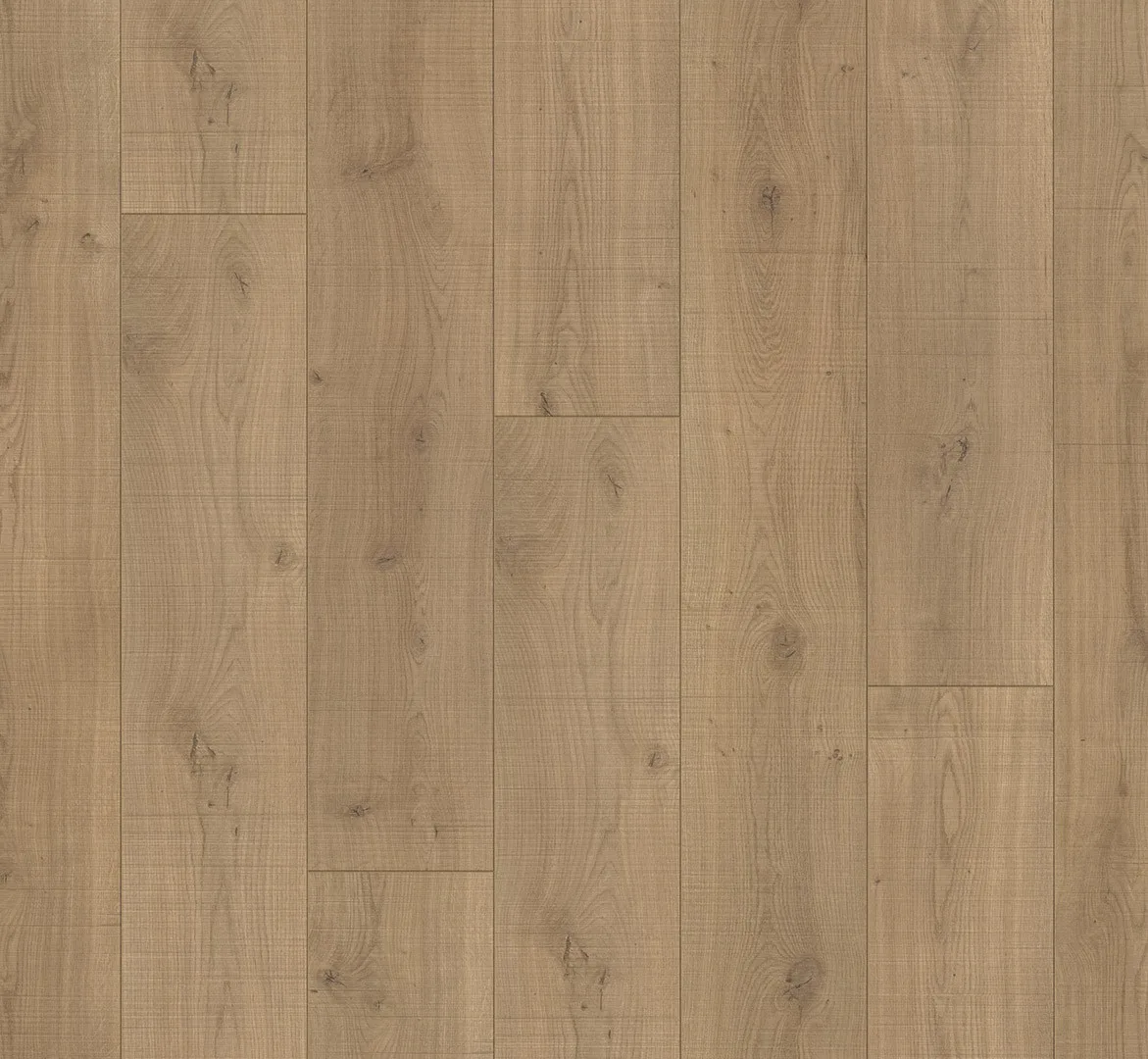 Lumberjack Oak view 2