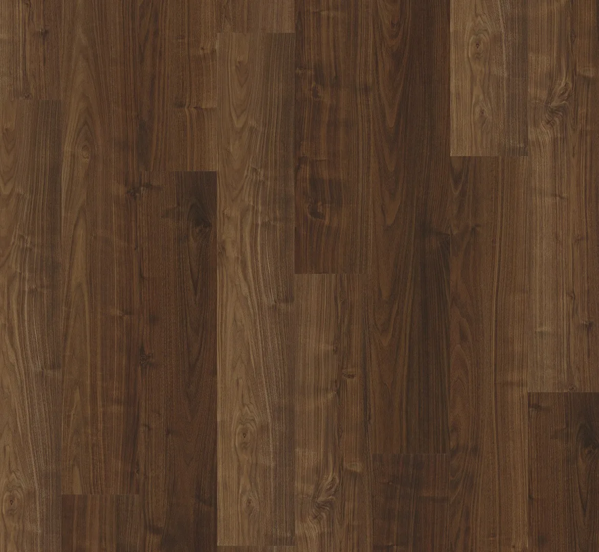 Walnut view 2