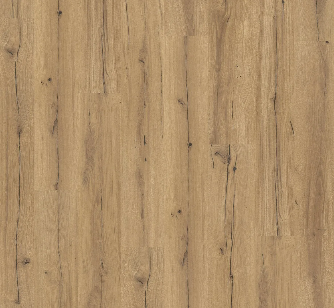 Oak Chronicle view 2