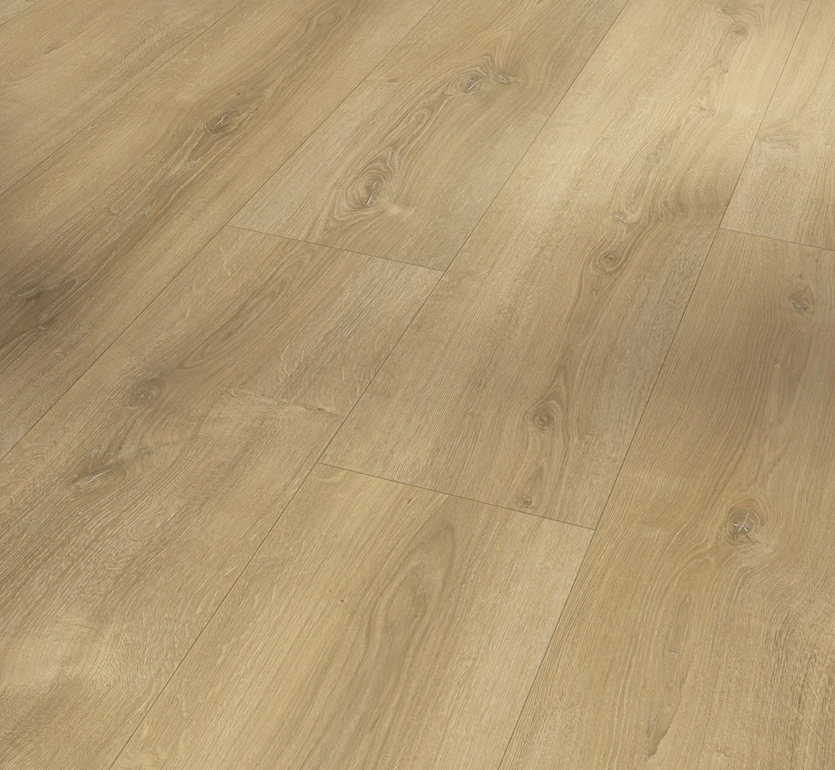 Oak Nova Limed Basic 600 laminate flooring