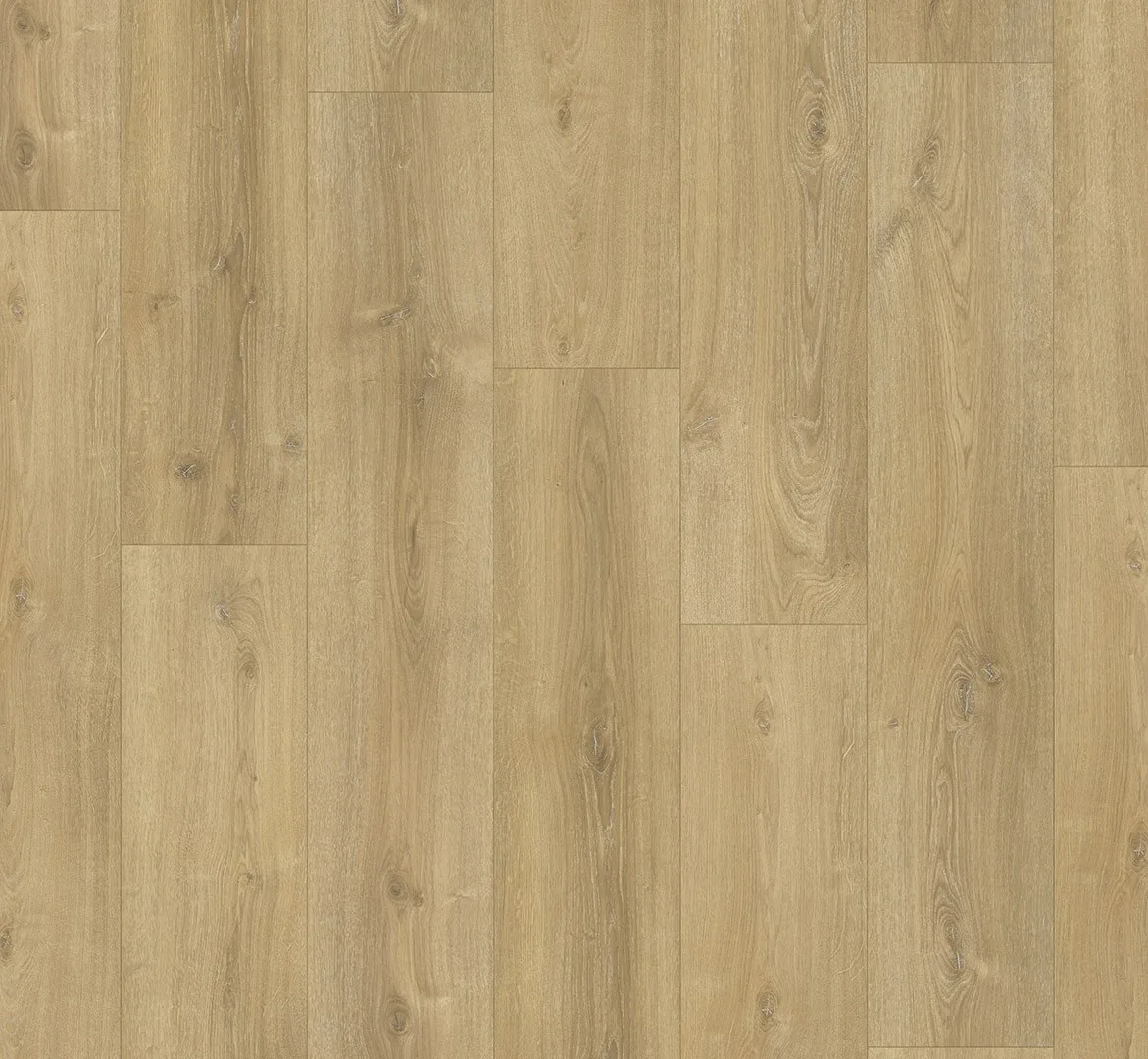 Oak Nova Limed Basic 600 view 2