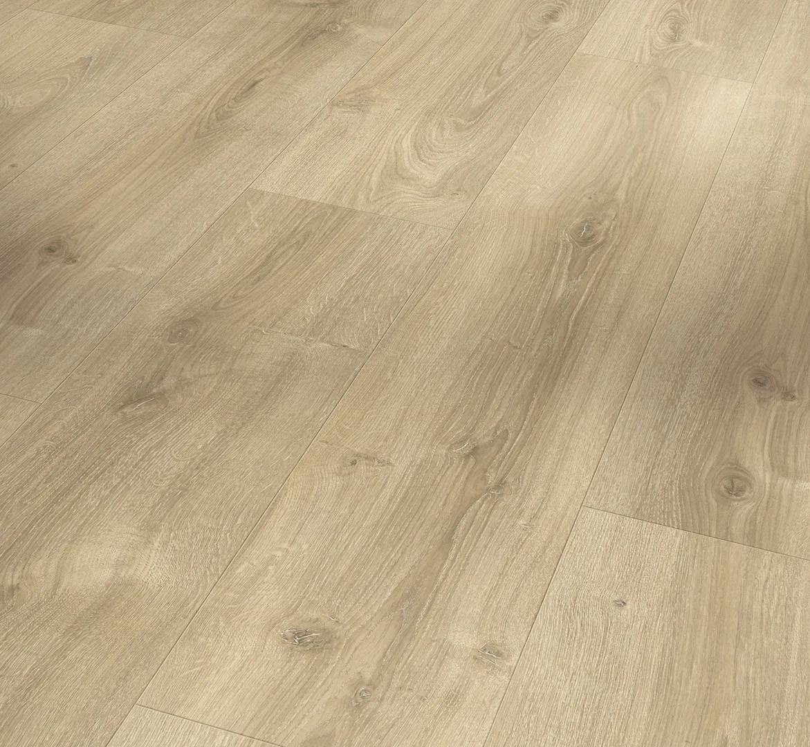 Oak Nova Light-limed Basic 600 laminate flooring