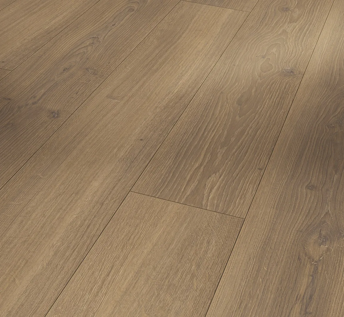 Oak Studioline Honey Trendtime 6 laminate flooring