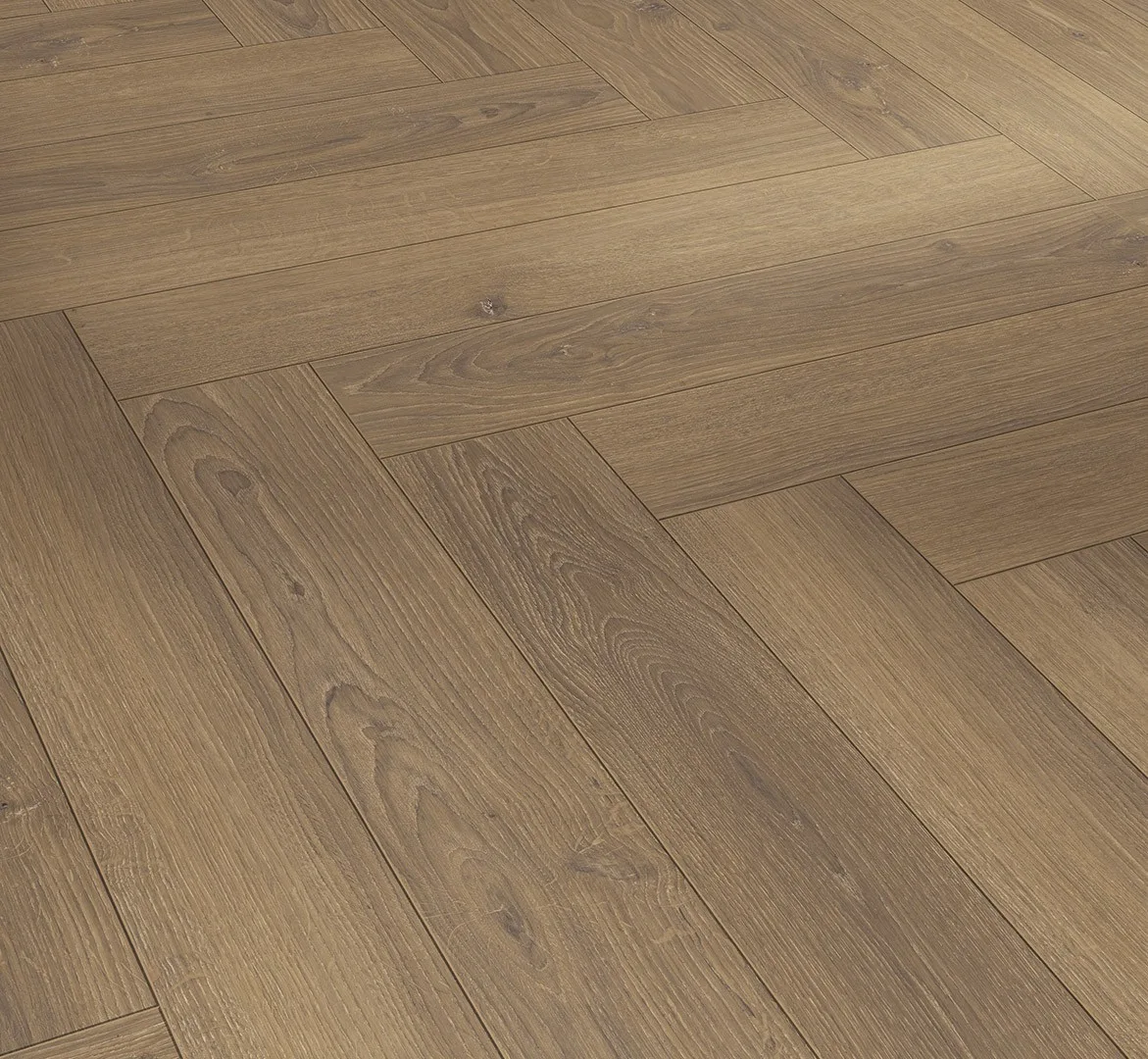 Oak Studioline Honey Trendtime 3 laminate flooring