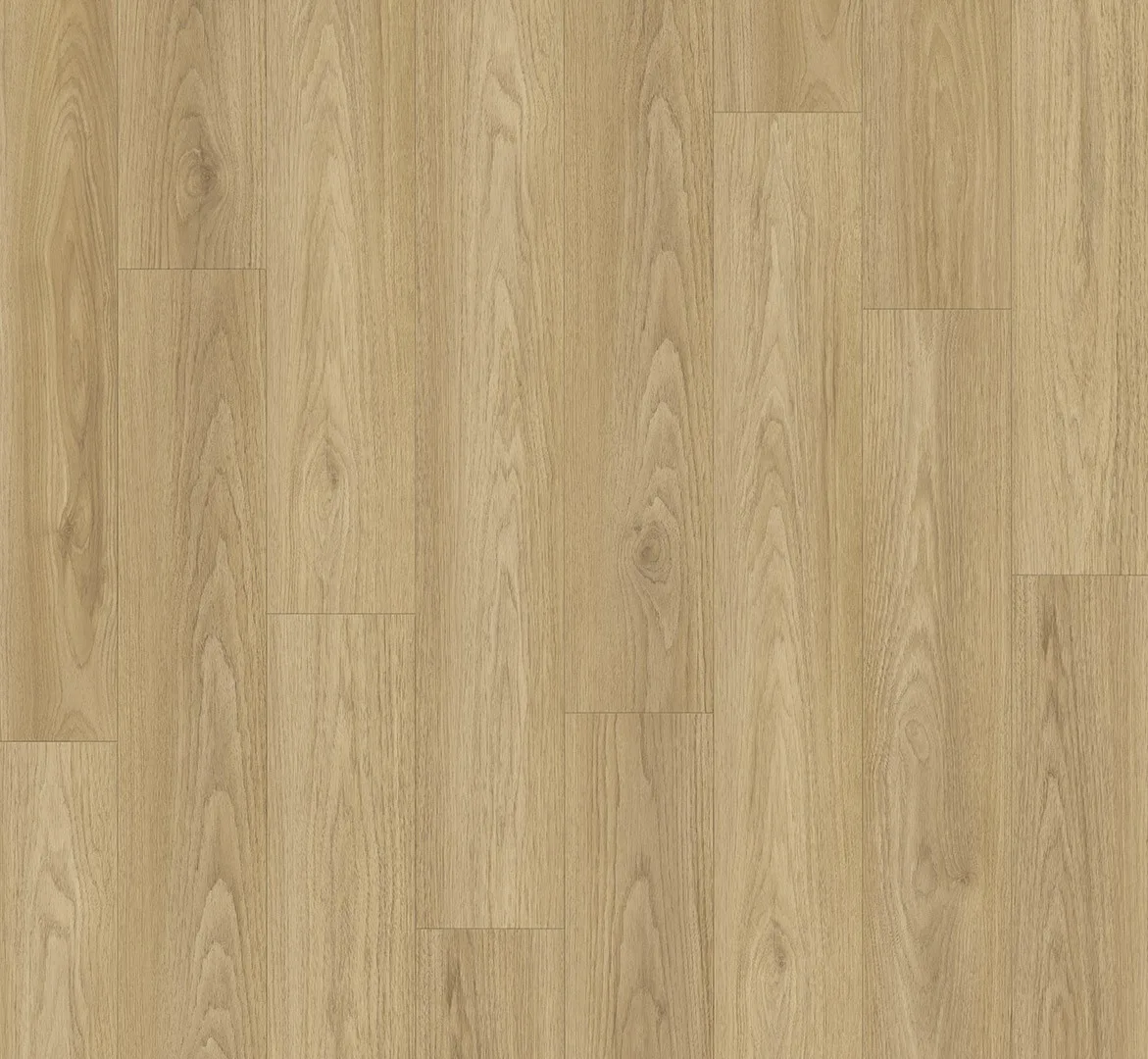 Hickory view 2