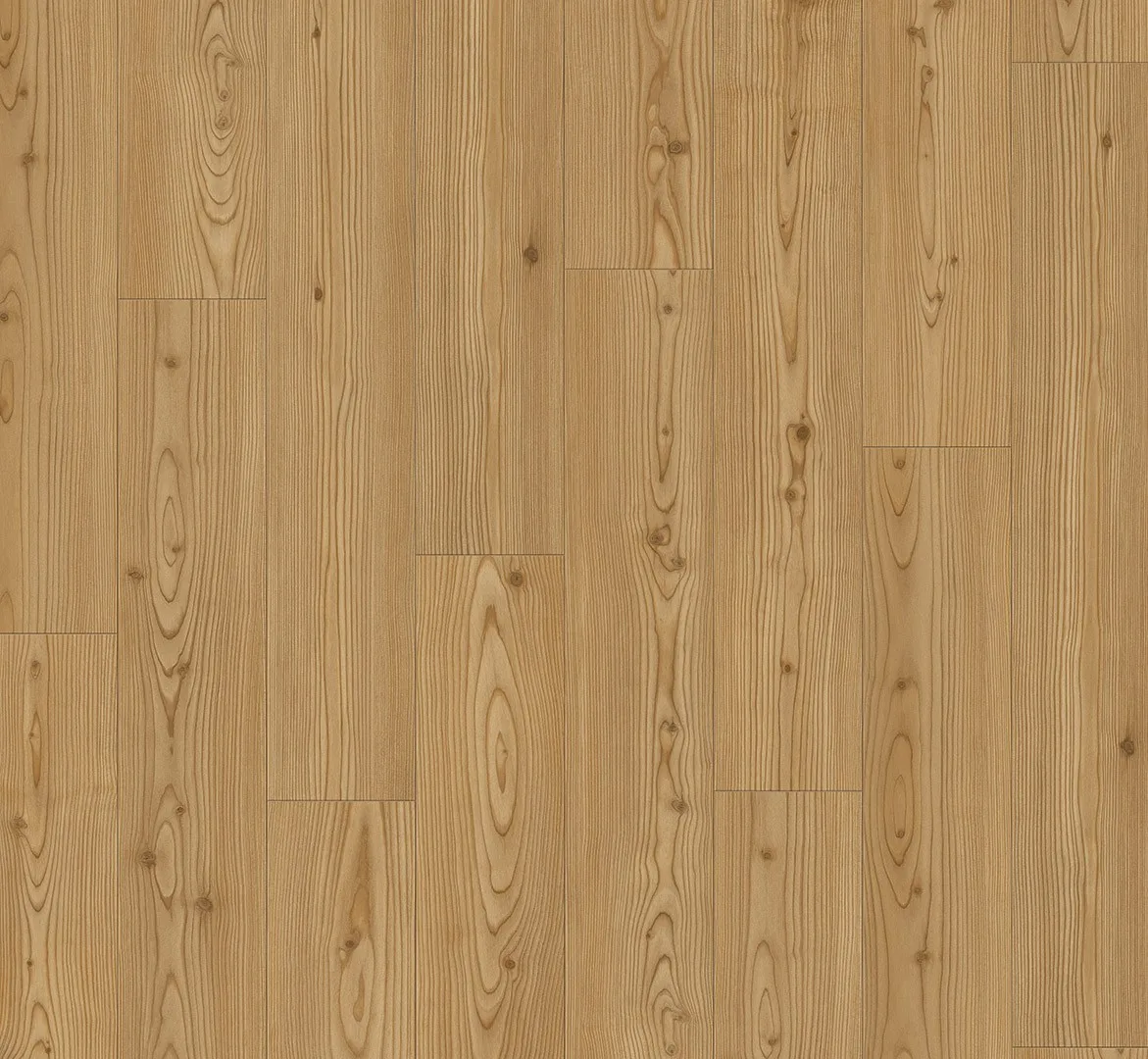 Larch Yukon Honey view 2