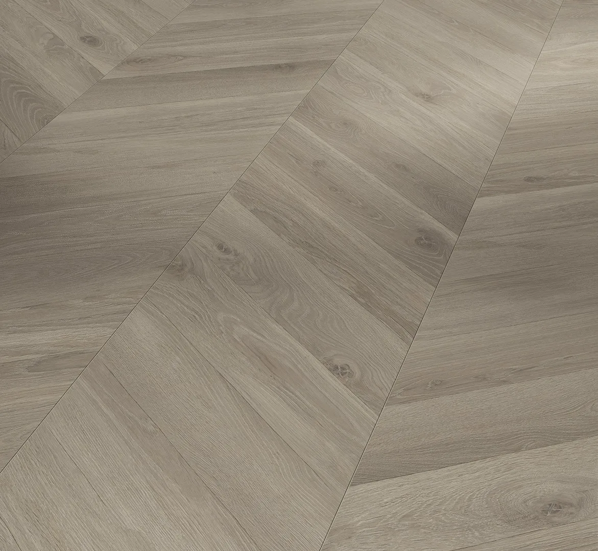 Oak Loire Grey Trendtime 8 Chevron look (1748771) laminate flooring