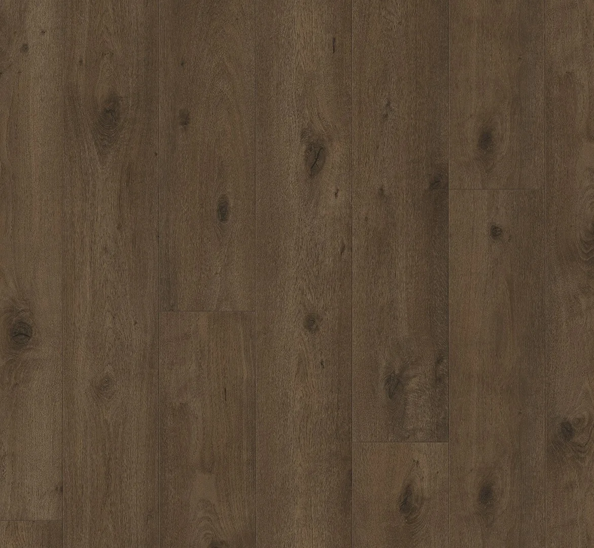 Oak Everglade Antique view 3