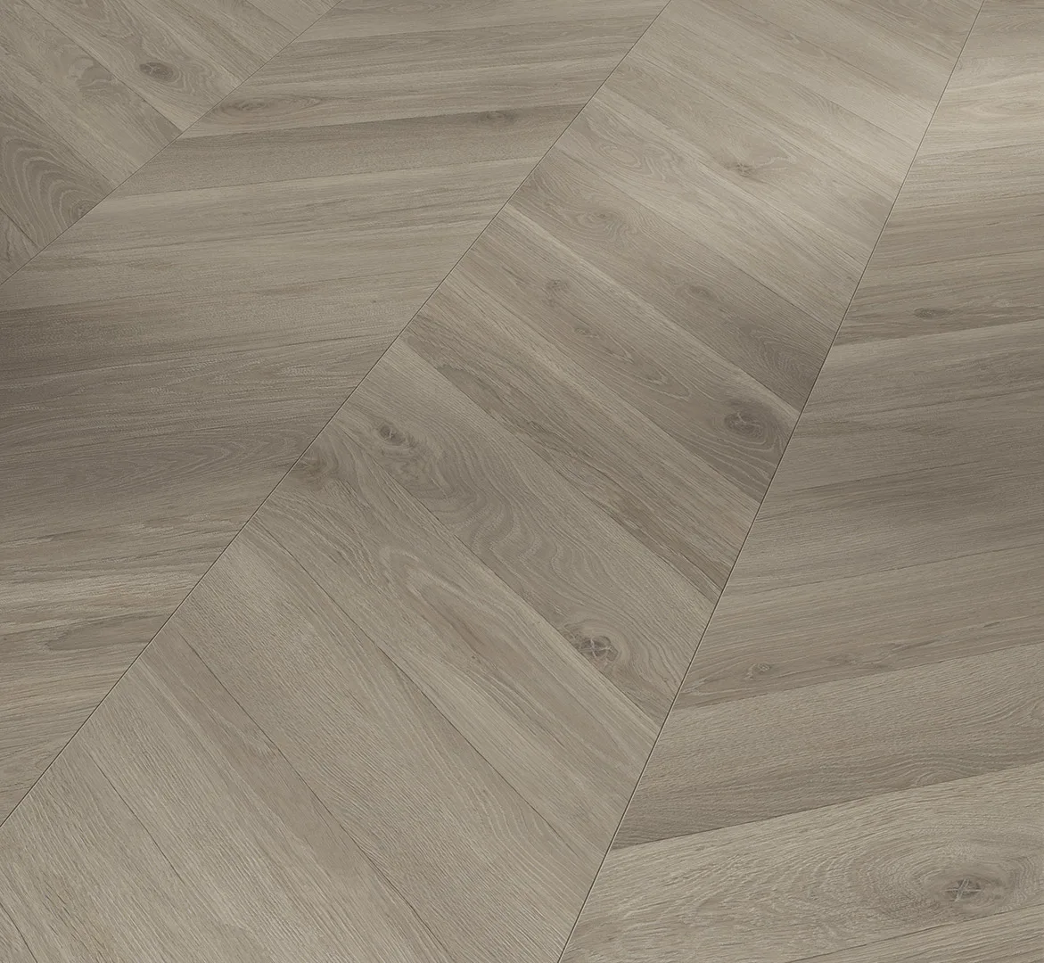 Oak Loire Grey Trendtime 8 Chevron look (1751651) laminate flooring