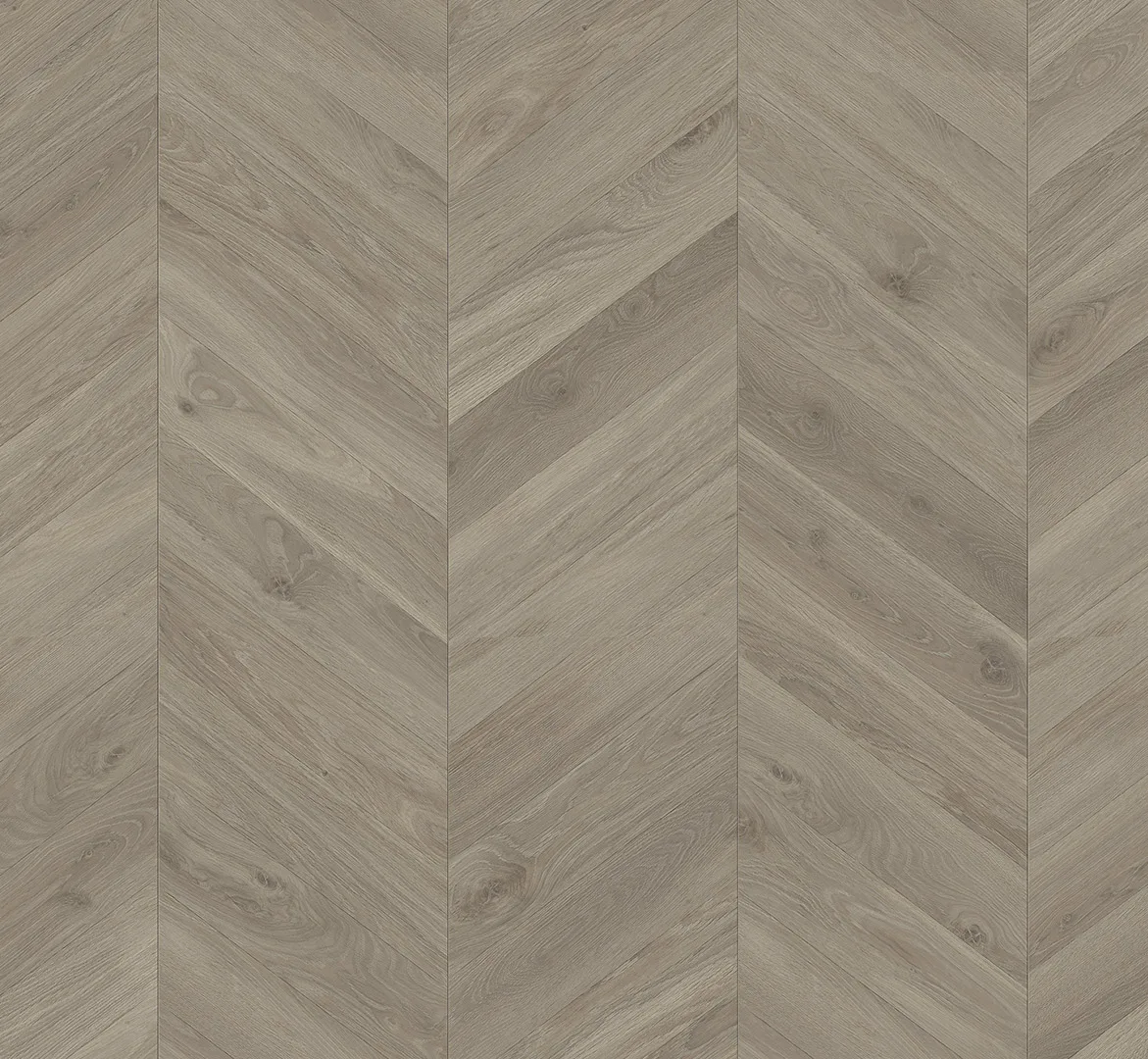 Oak Loire Grey Trendtime 8 Chevron look (1751651) view 3