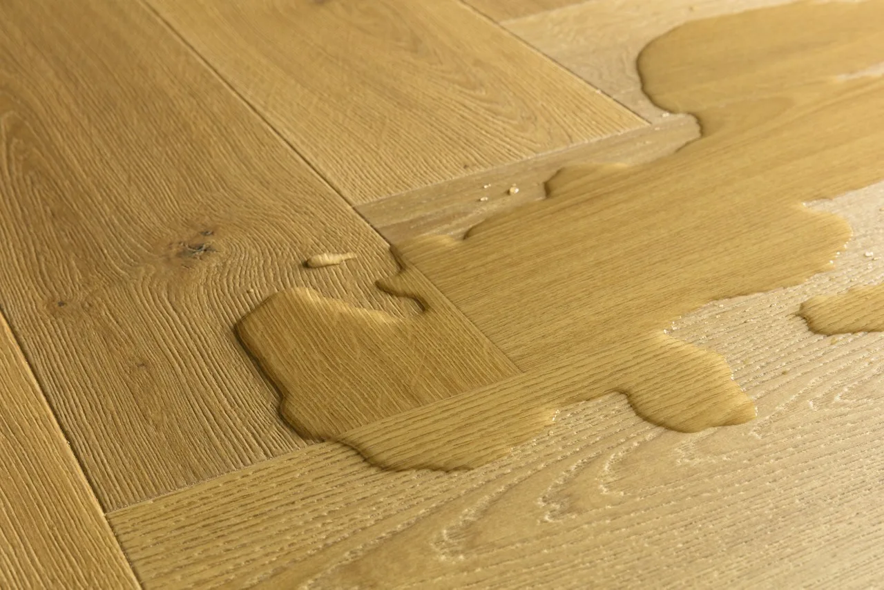 Cumin Oak view 3