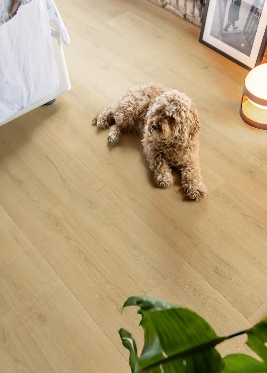 Brushed Oak Natural view 2